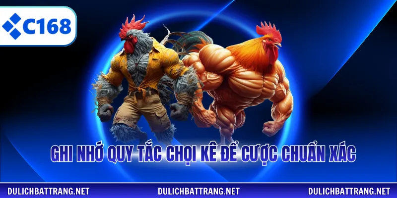 Ghi nhớ quy tắc chọi kê để cược chuẩn xác